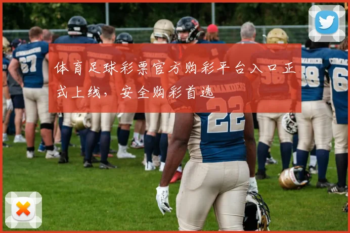体育足球彩票官方购彩平台入口正式上线，安全购彩首选